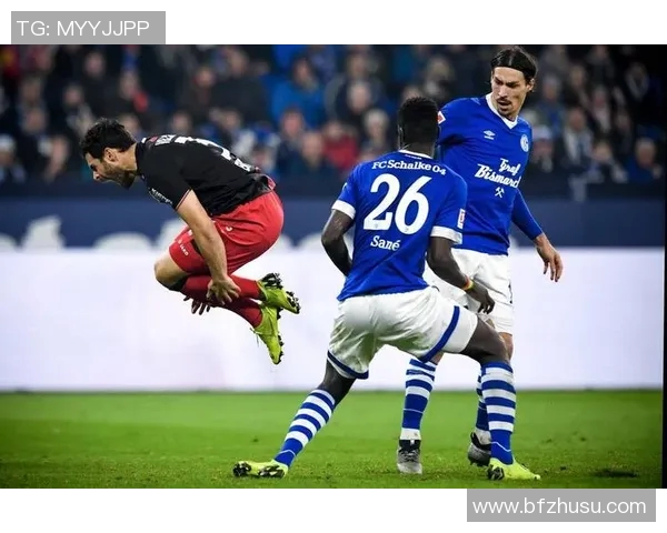 沙尔克04中场大升级,全力冲击欧冠资格 沙尔克04中场大升级,全力冲击欧冠资格